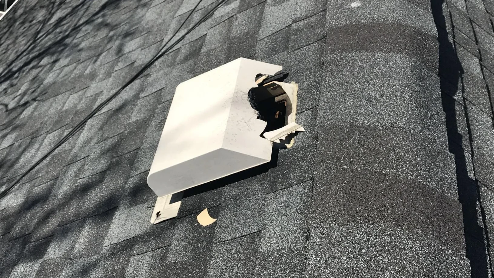 Vent cover animal damage.