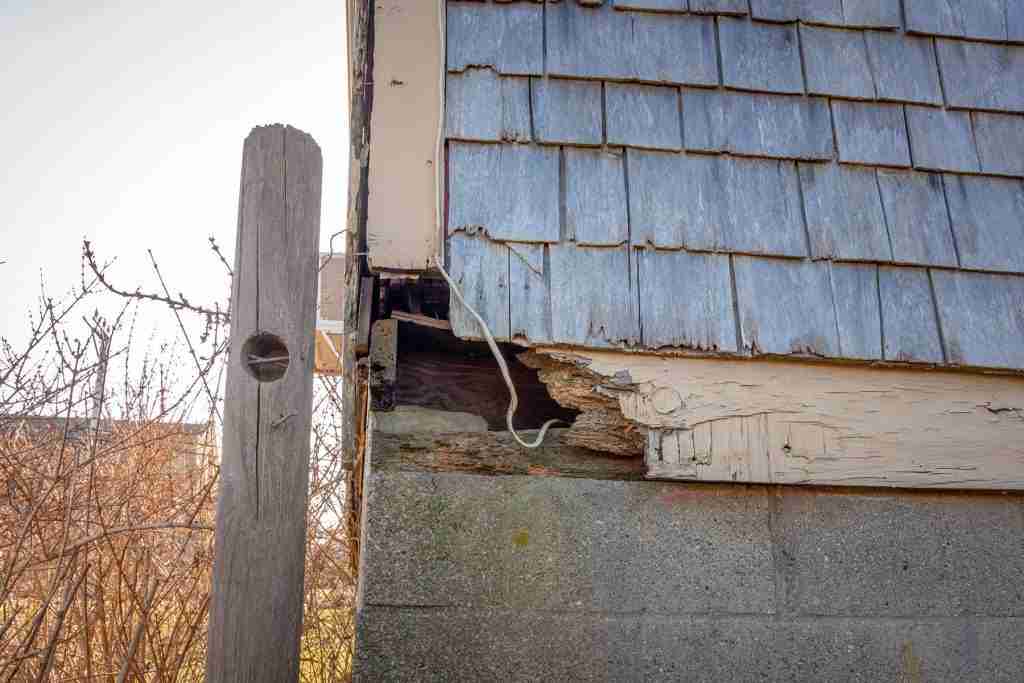 Damage cause by wild animal.